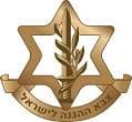 Israeli Air Force